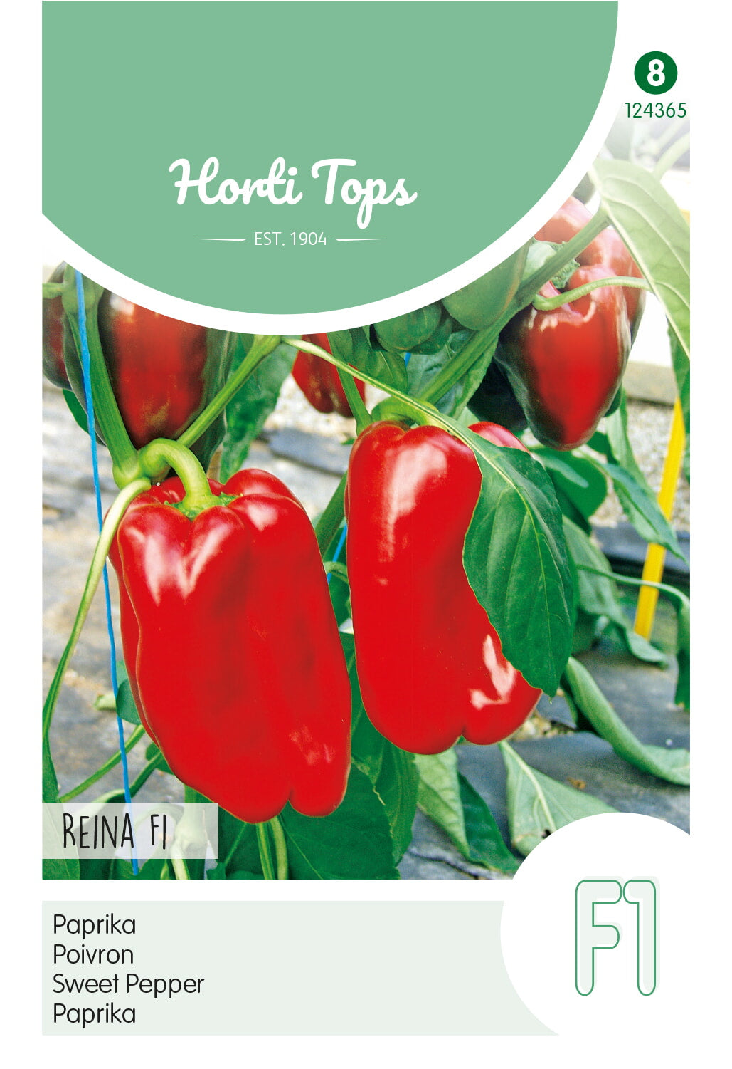 HT Paprika Solero F1 (wordt Reina)