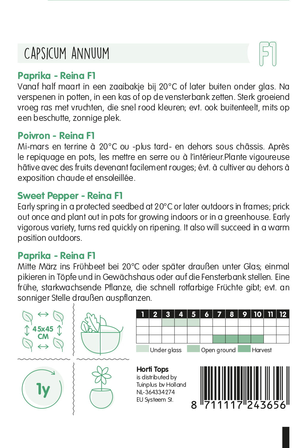 HT Paprika Solero F1 (wordt Reina)