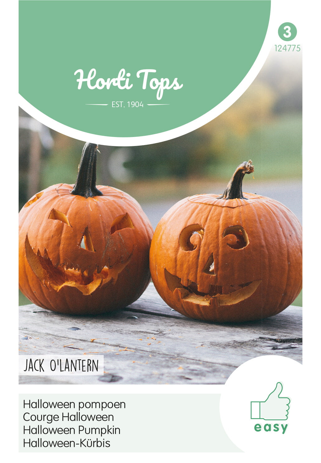 HT Pompoen Jack O'Lantern (Cucurbita Pepo)