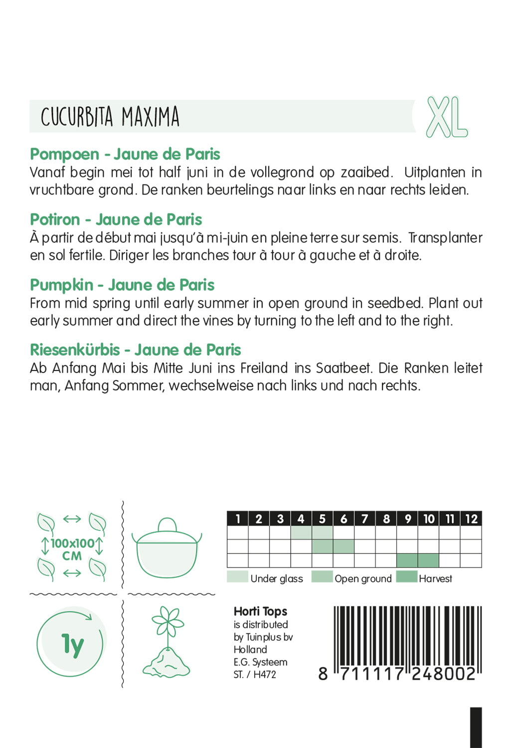 HT Pompoenen Jaune de Paris (Centenaar)