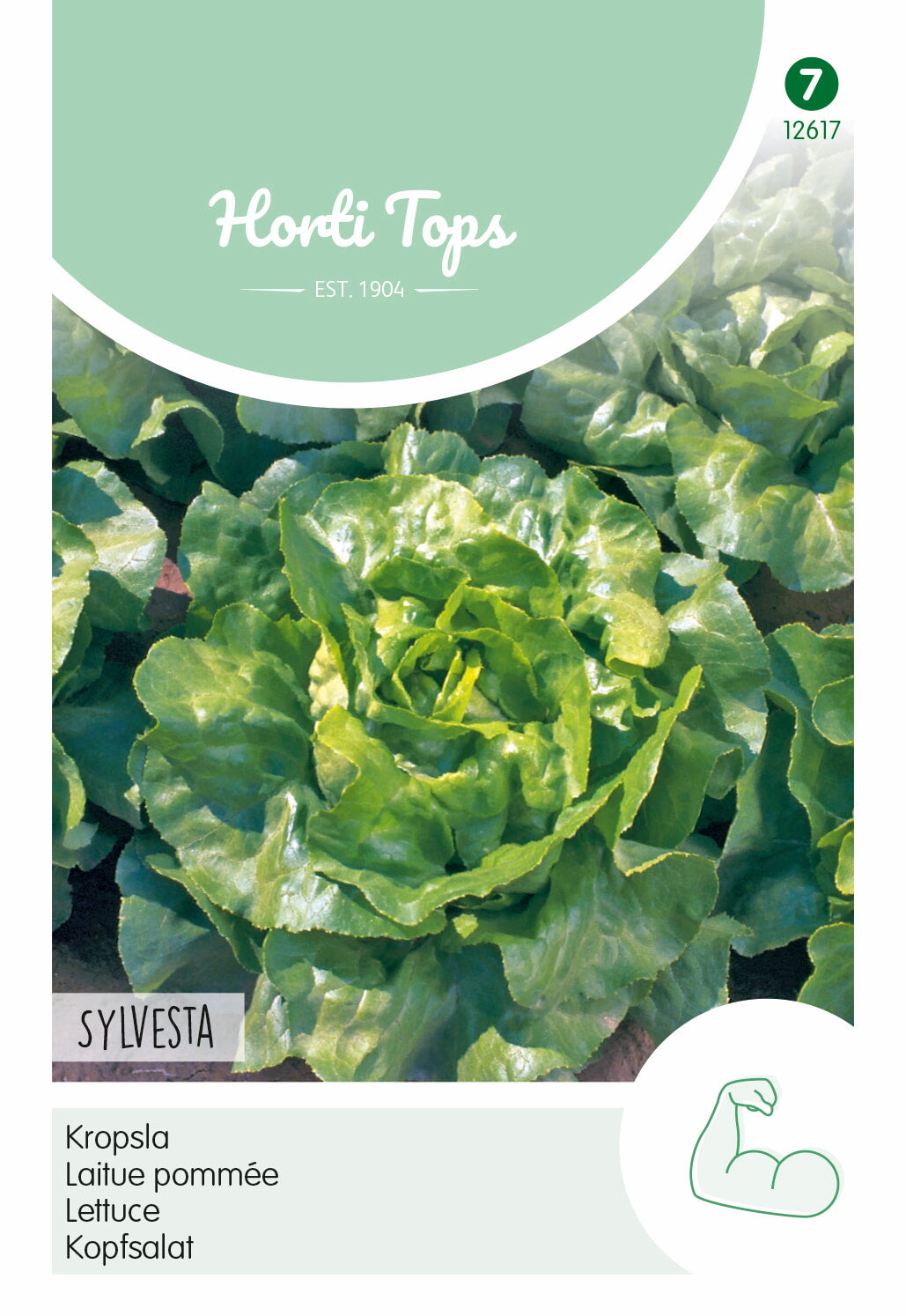 HT Kropsla Mafalda (wordt Sylvesta)