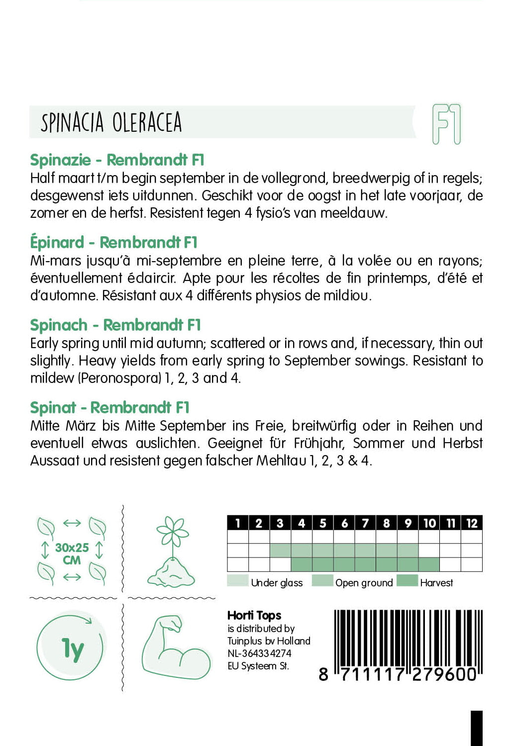 HT Spinazie Rendo F1 10 Gram