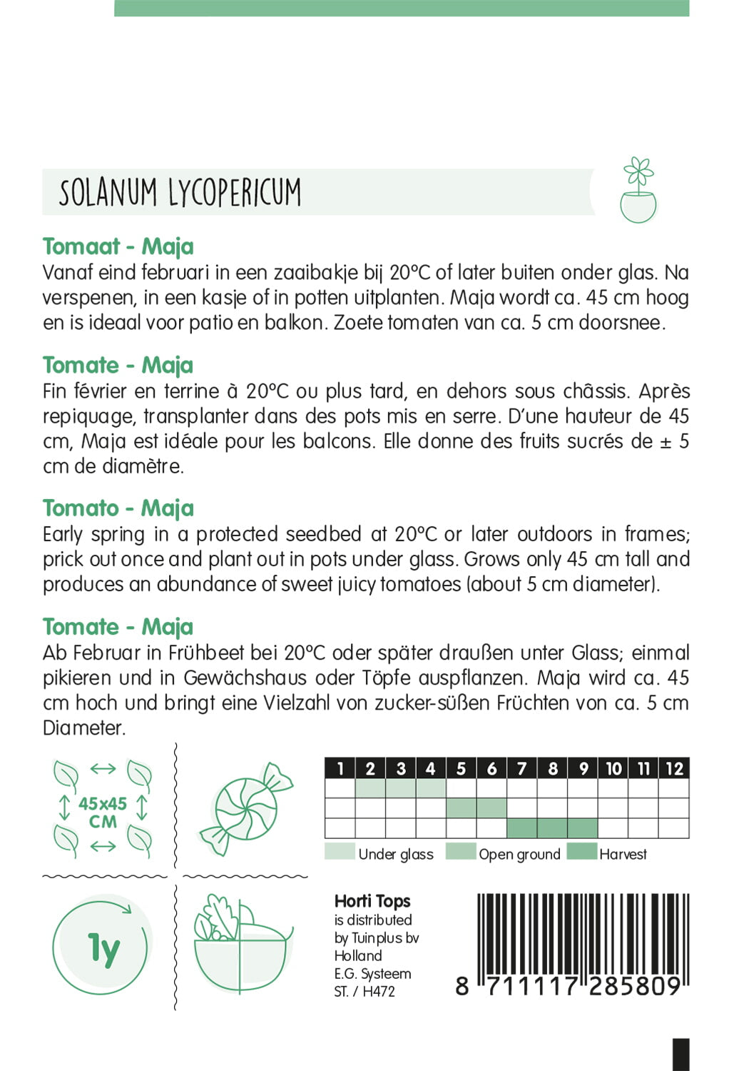 HT Tomaten Maja -Balkontomaat