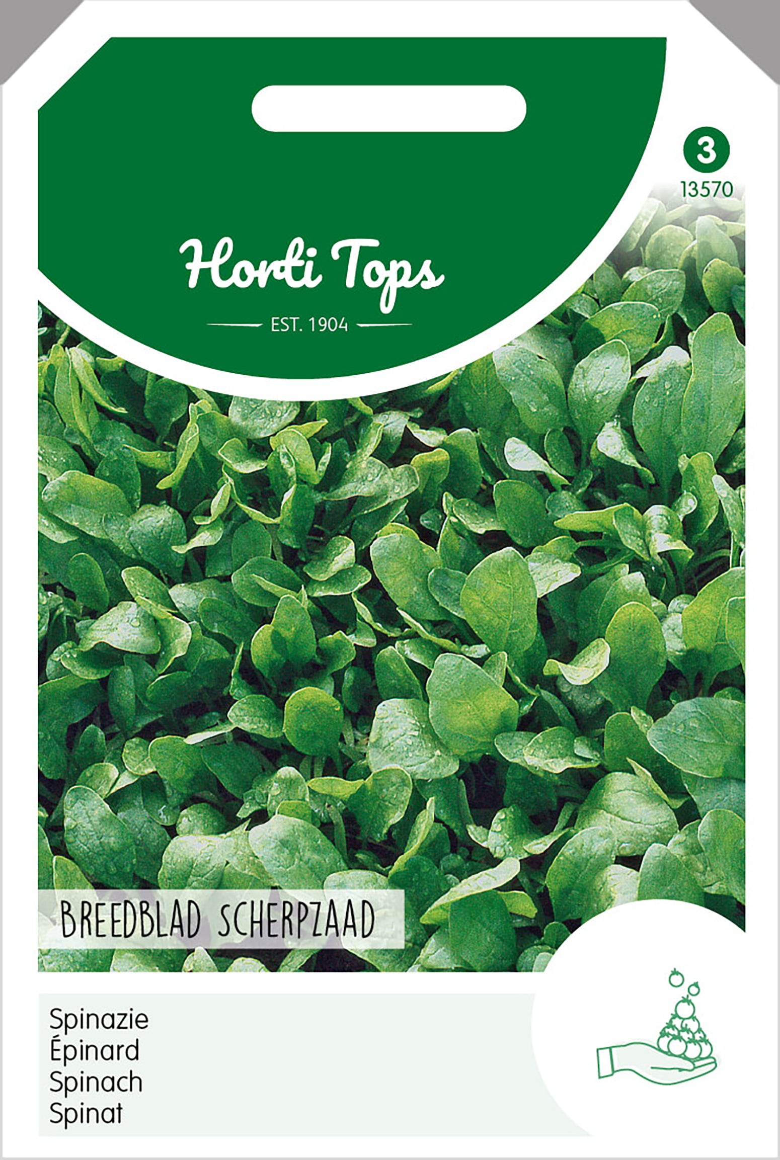 Spinazie Breedblad Scherpzaad zomer, 50g