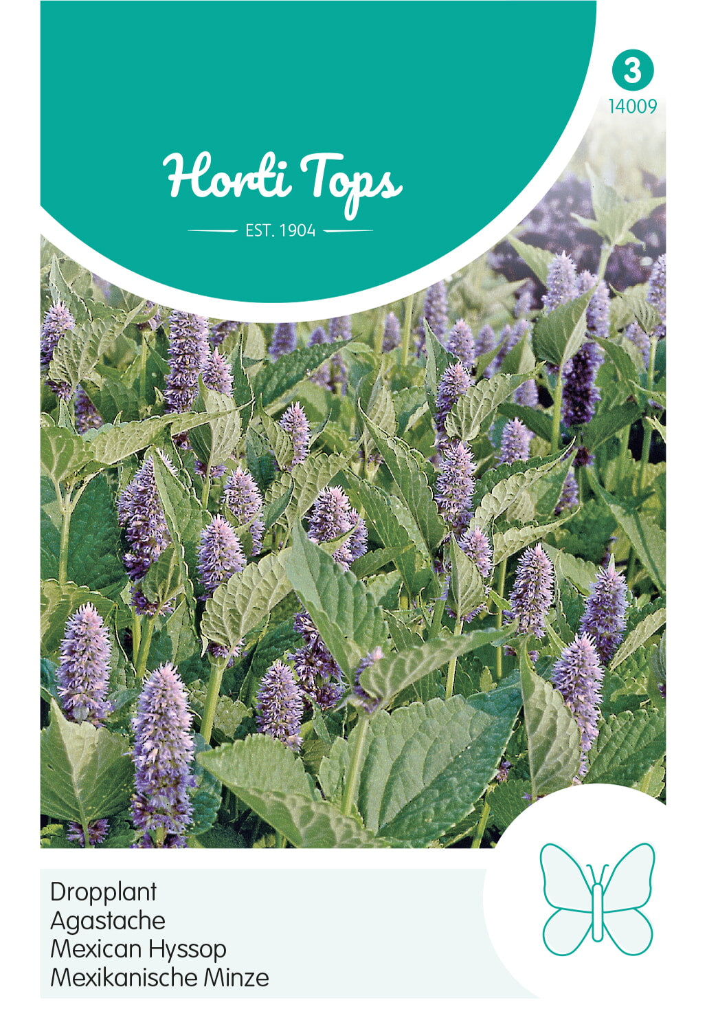 HT Agastache, Dropplant (mexicana)