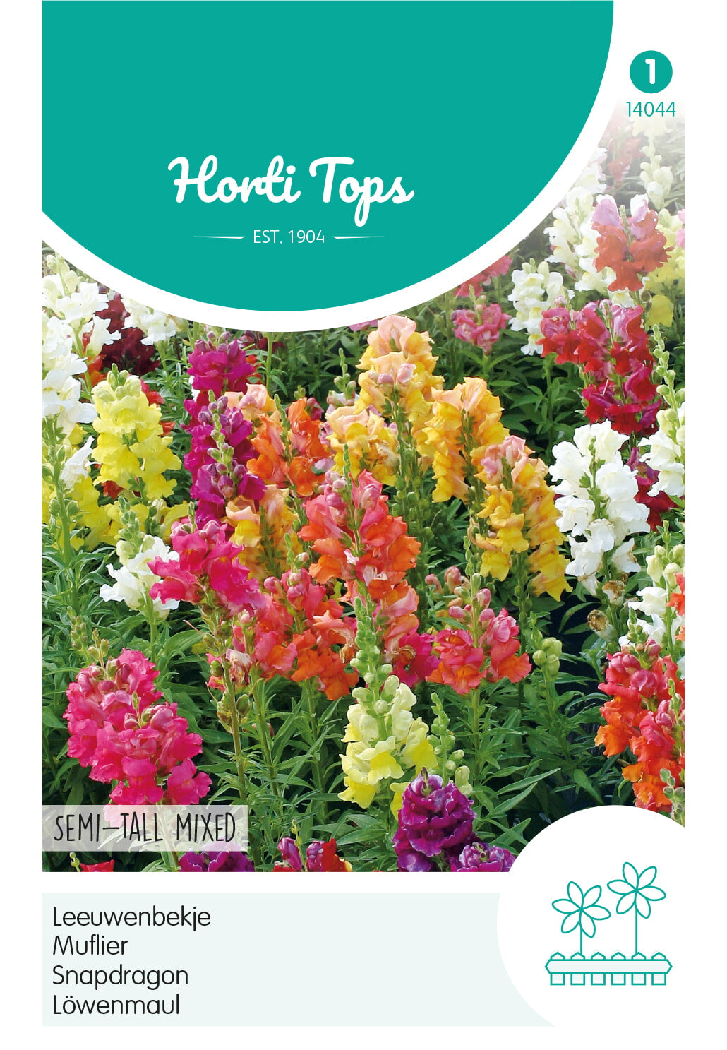 HT Antirrhinum, Leeuwenbekje half-hoge gemengd