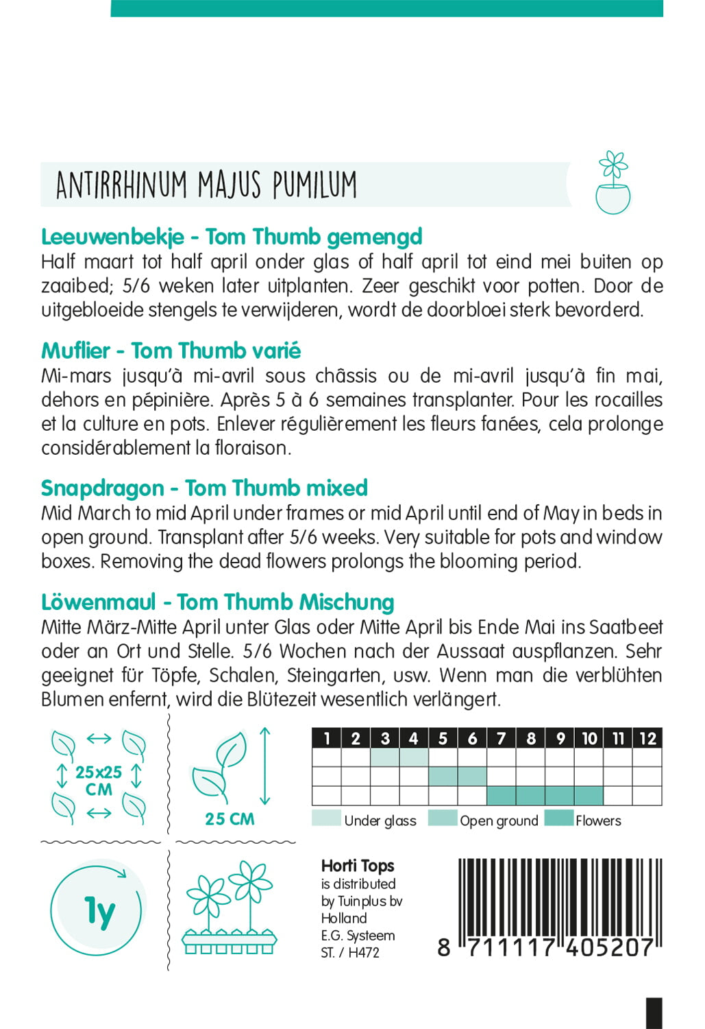 HT Antirrhinum, Leeuwenbekje Tom Thumb gemengd