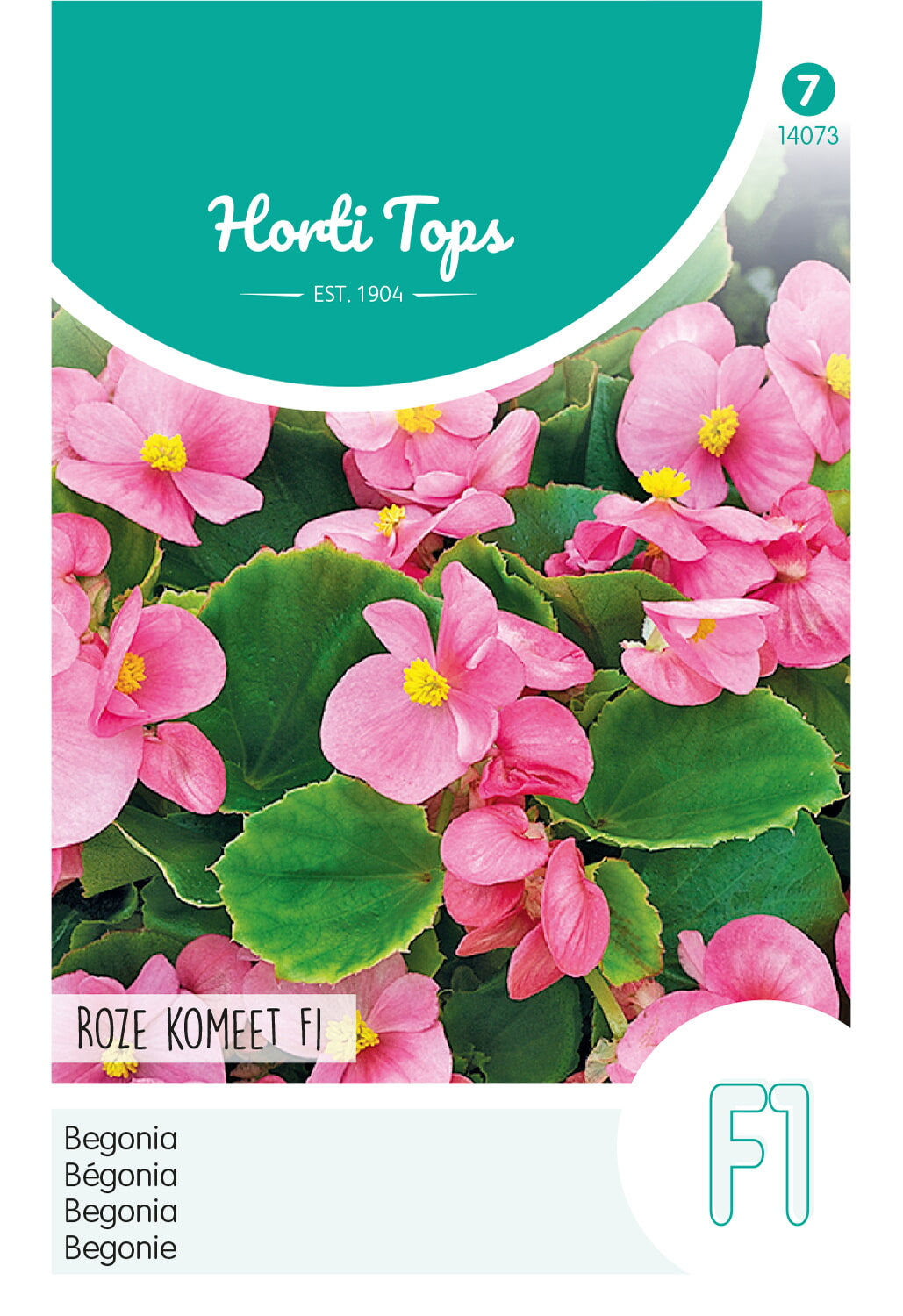 HT Begonia F1 Rose Komeet