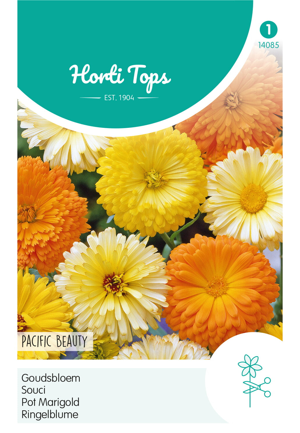 HT Calendula, Goudsbloem Pacific Beauty gemengd