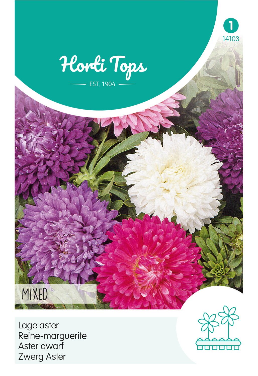 HT Callistephus, Dwerg-Aster gemengd