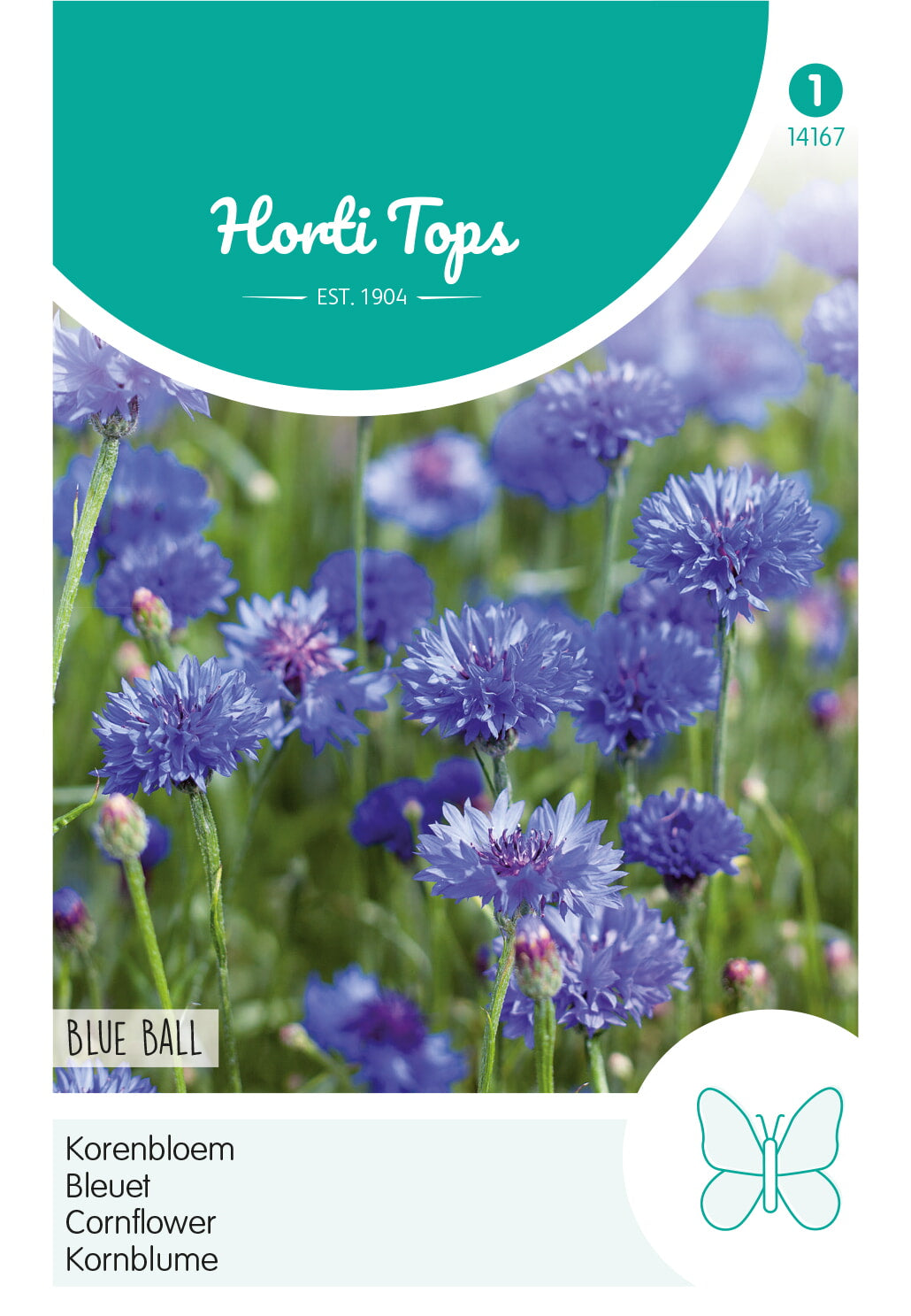 HT Centaurea, Korenbloem Blue Ball