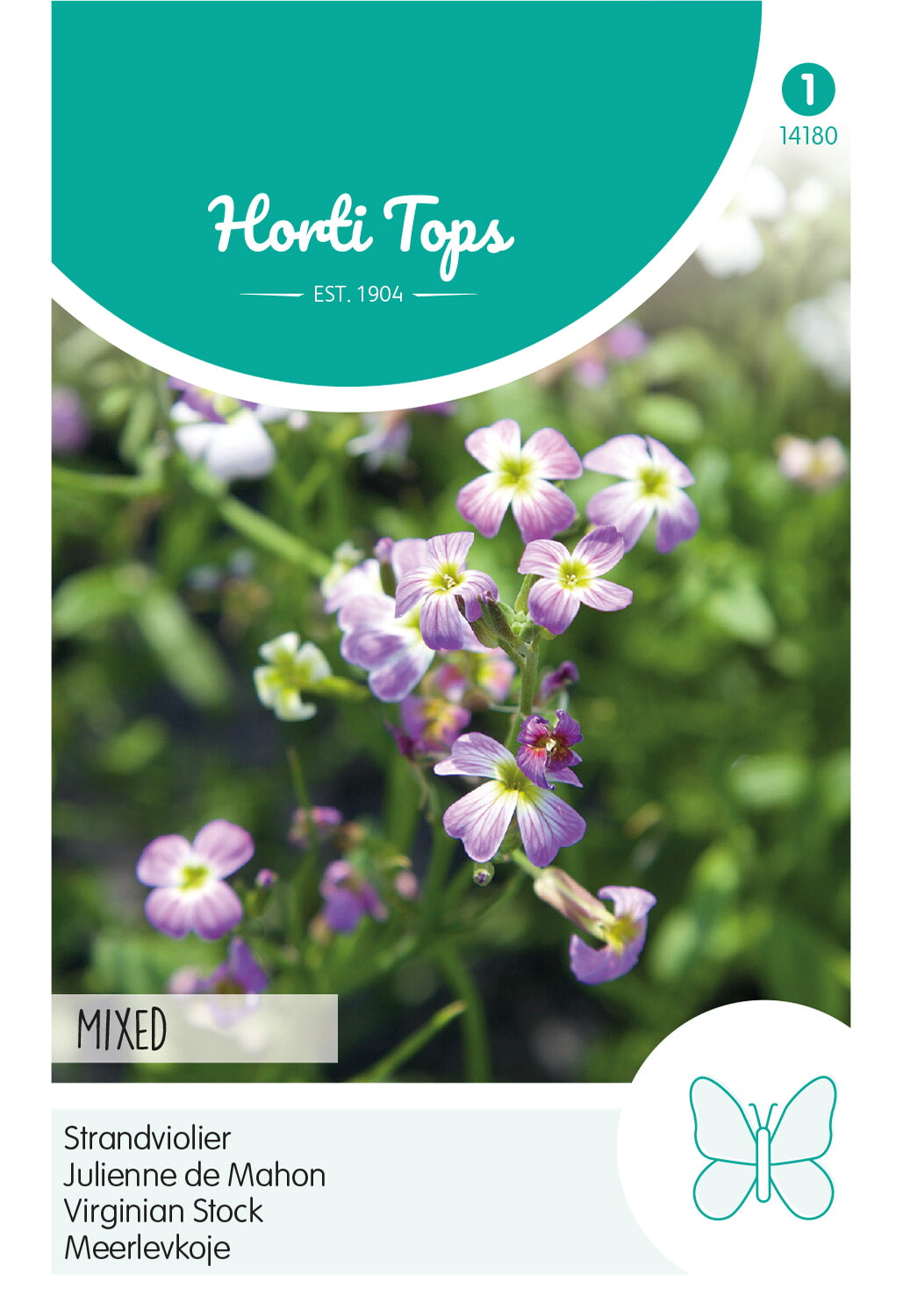 HT Cheiranthus, Strandviolier gemengd