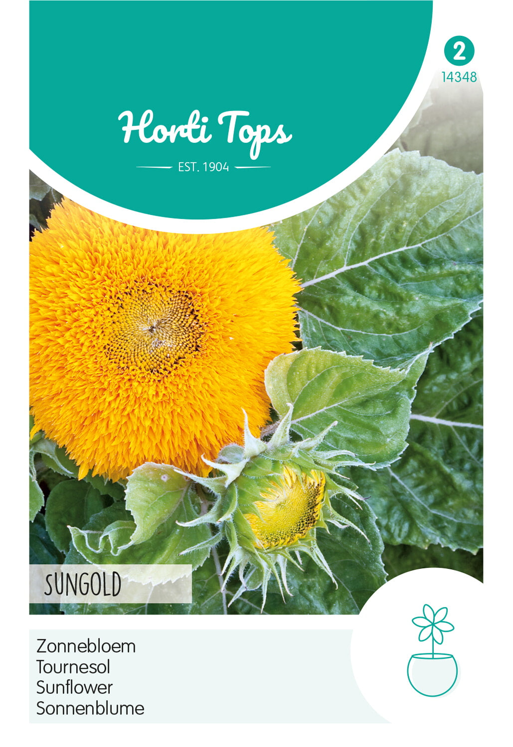 HT Helianthus, Zonnebloem Sungold dubbelbloemig laag