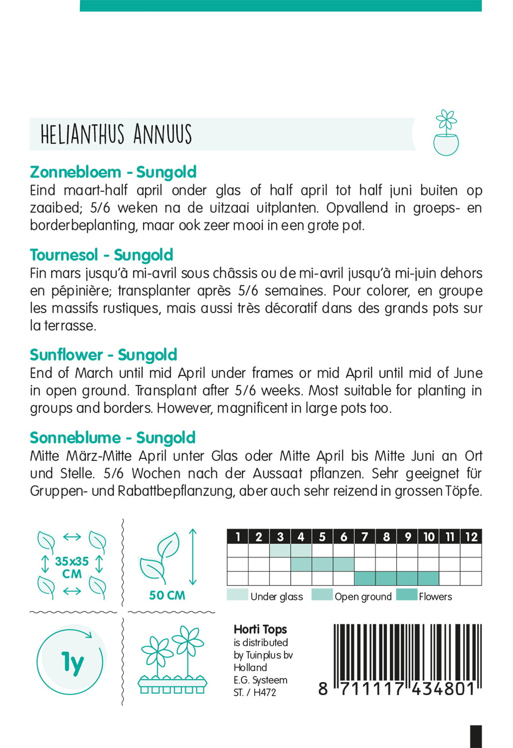 HT Helianthus, Zonnebloem Sungold dubbelbloemig laag