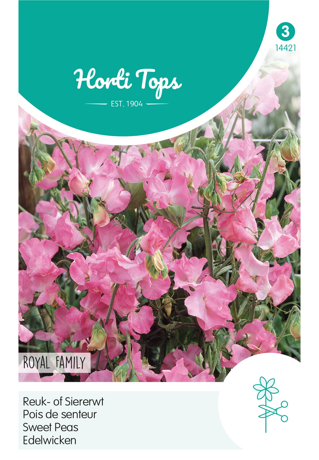 HT Lathyrus, Reuk- of Siererwt Royal Family Roze