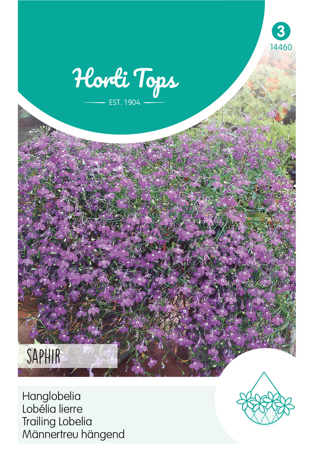 HT Lobelia, Hanglobelia Saphir