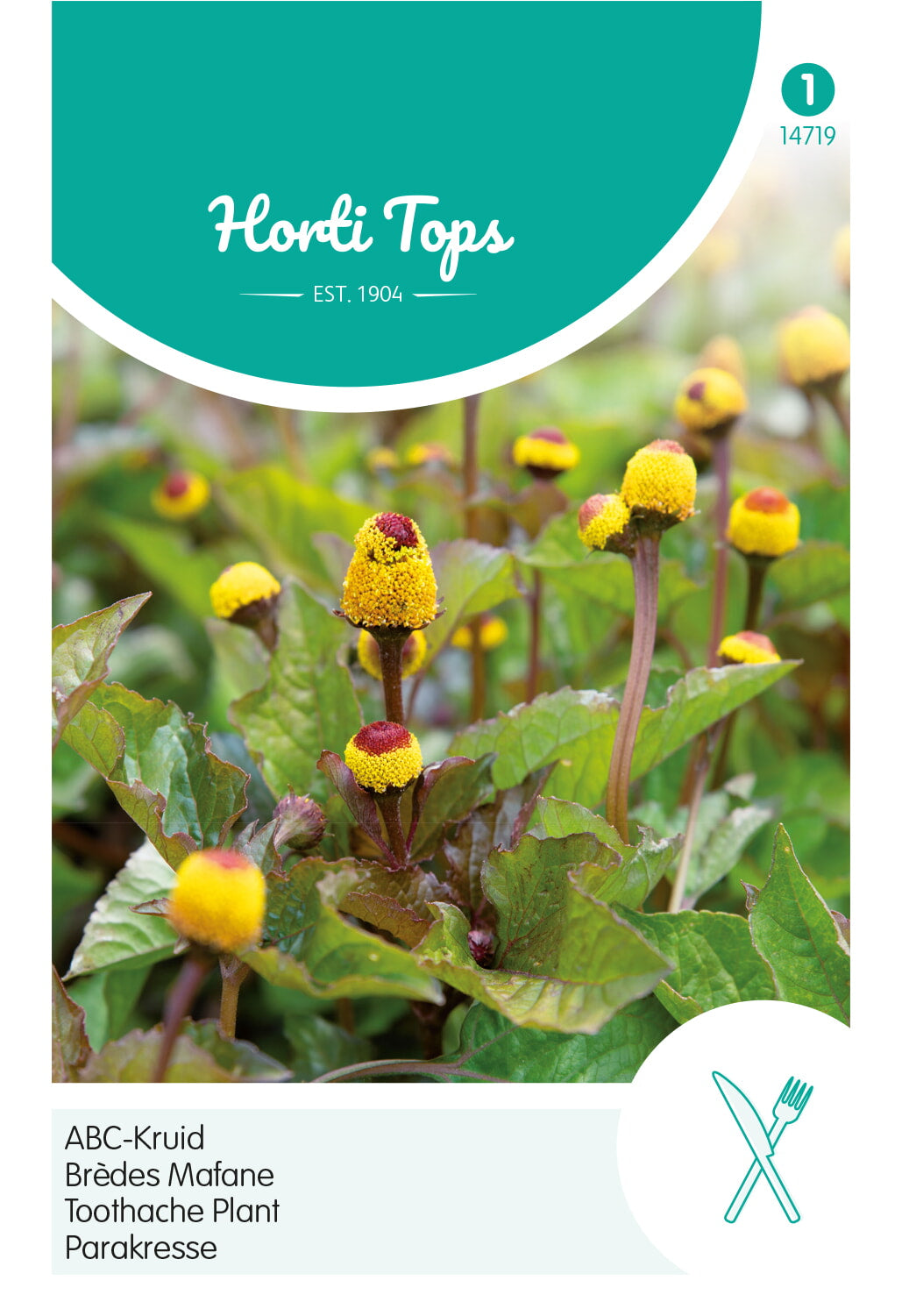 HT Spilanthes, Kiespijnplant