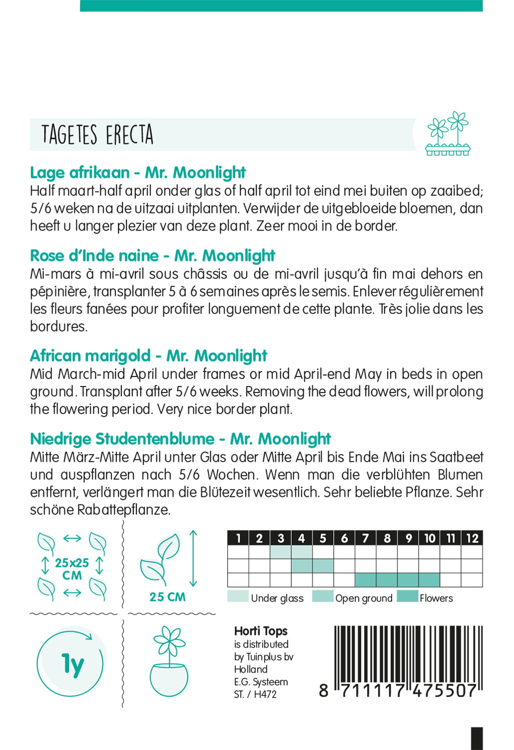 HT Tagetes, lage Afrikaan Mr. Moonlight geel