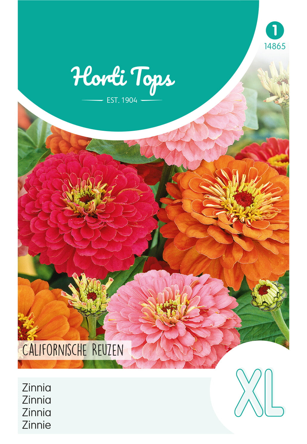 HT Zinnia Californische Reuzen gemengd