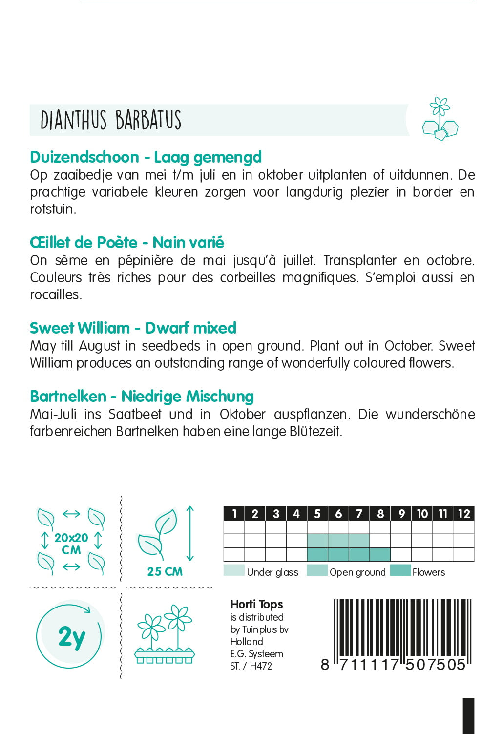 HT Dianthus, Duizendschoon laag gemengd