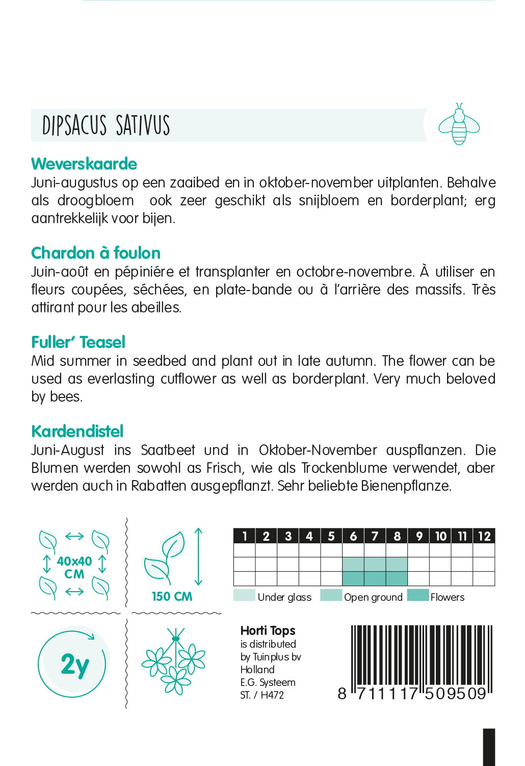 HT Dipsacus, Weverskaarde