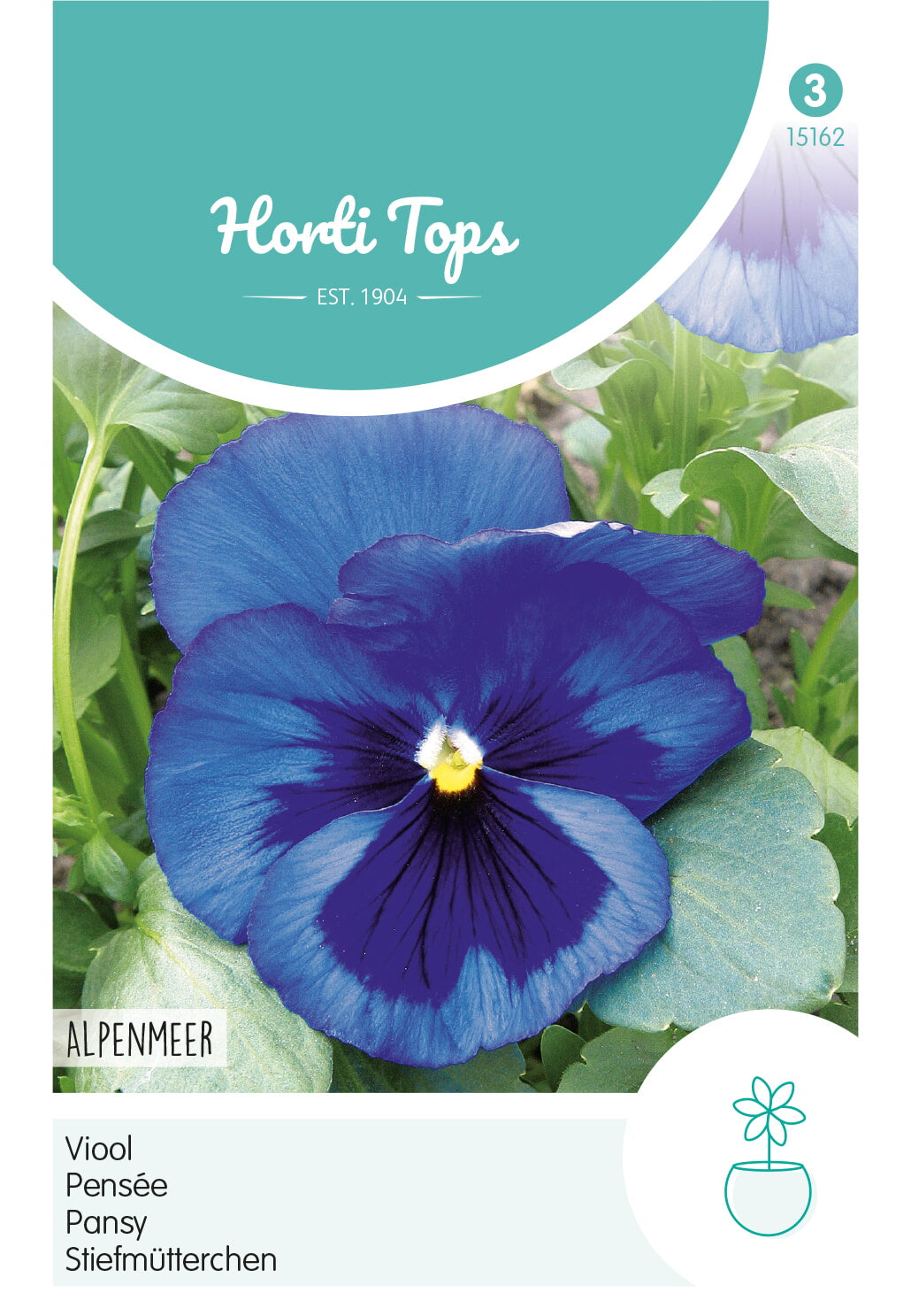 HT Viola, Viool Alpenmeer