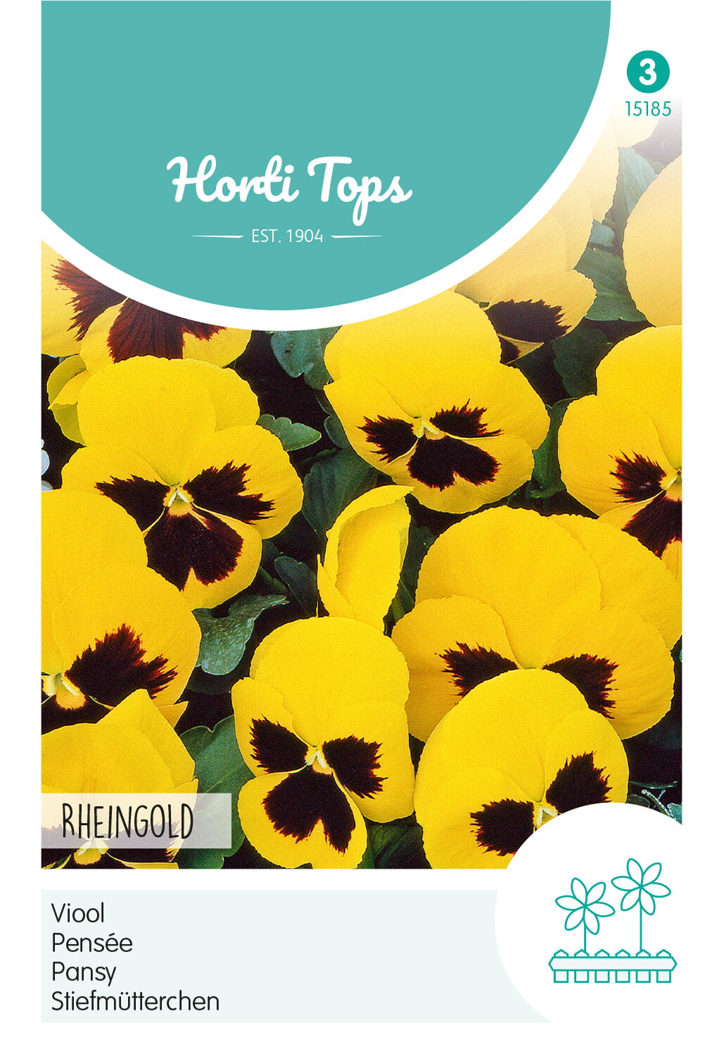 HT Viola, Viool Rheingold