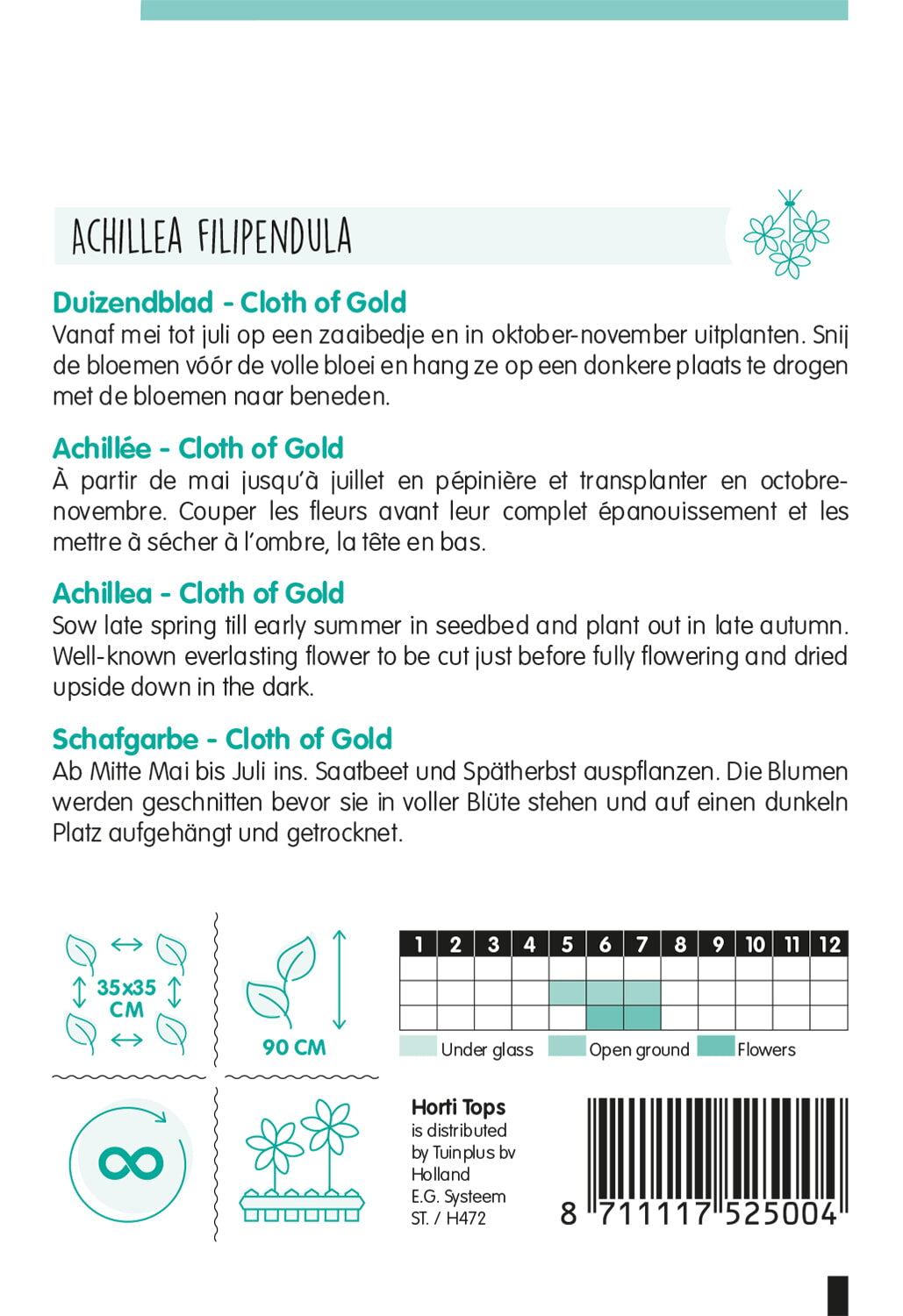 HT Achillea, Duizendblad Cloth Of Gold