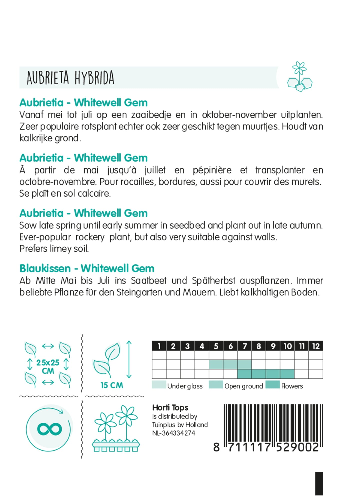 HT Aubrietia, Blauwkussen Whitewell Gem