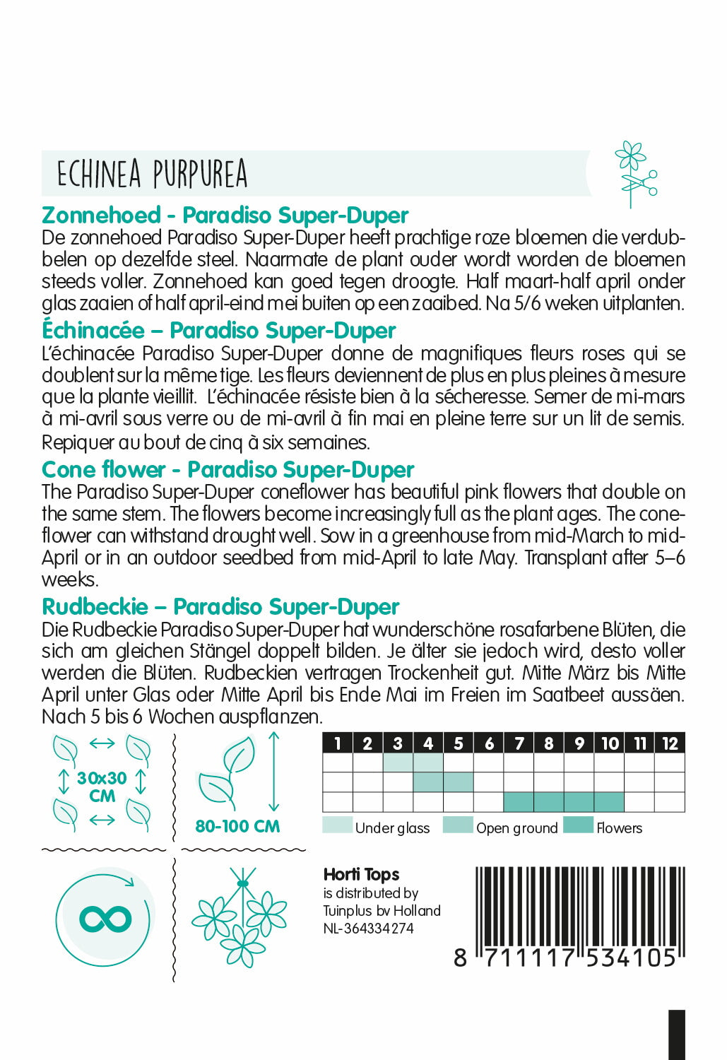 HT Echinacea, Zonnehoed Paradiso Super-Duper