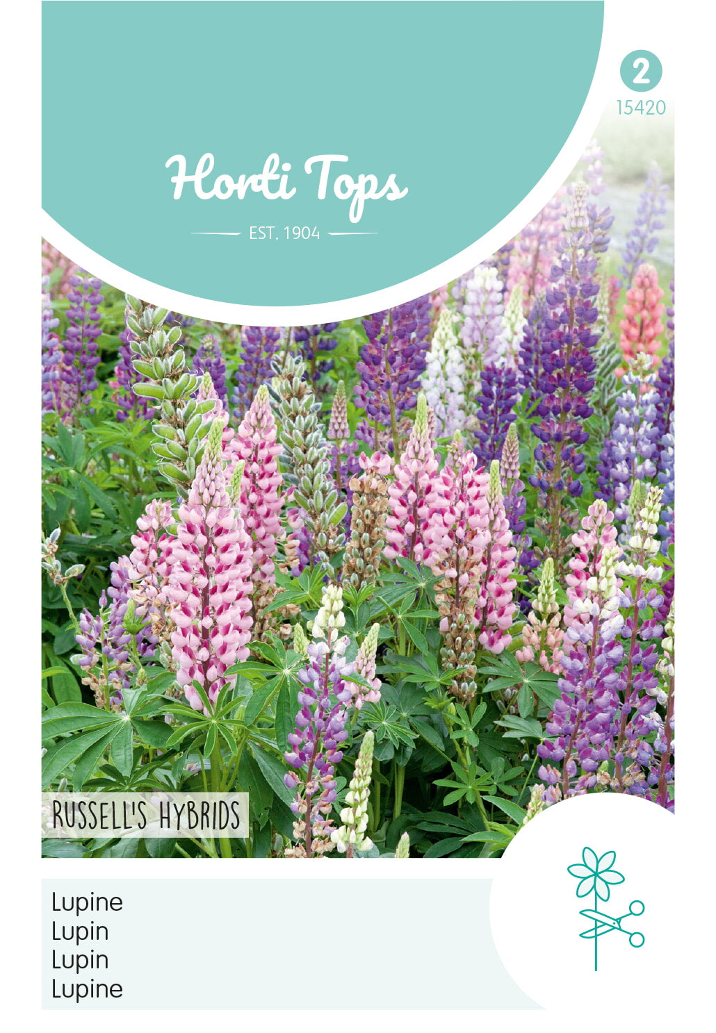 HT Lupinus, Lupine Russell's Hybrids gemengd