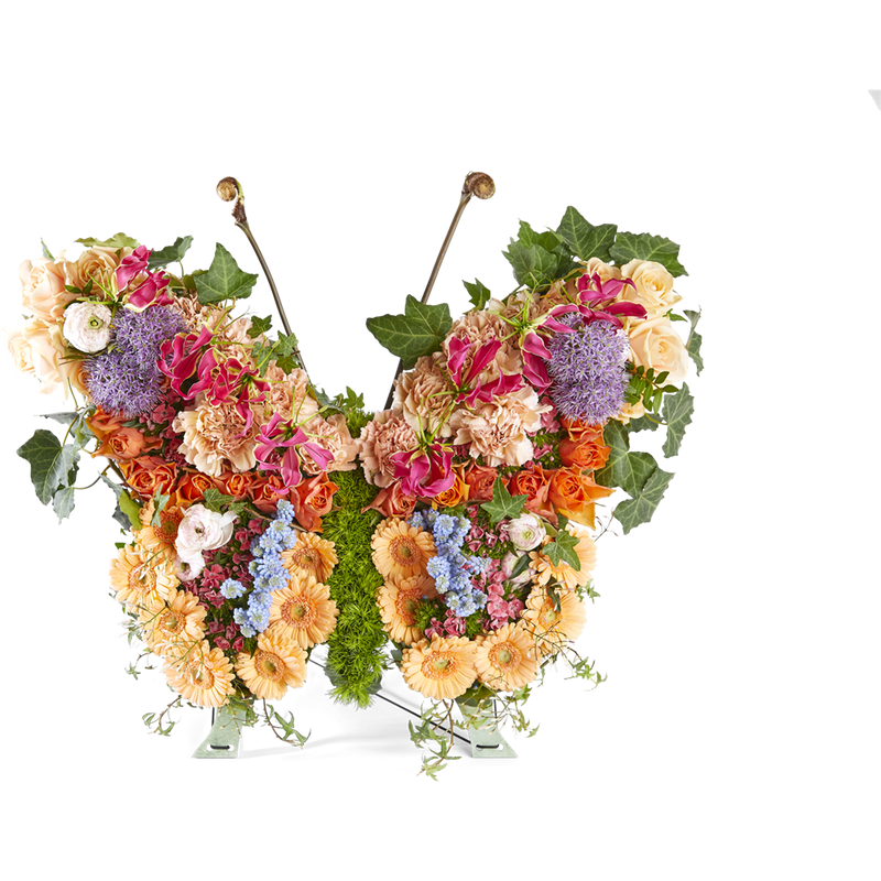 Schemerlicht - Vlinder
