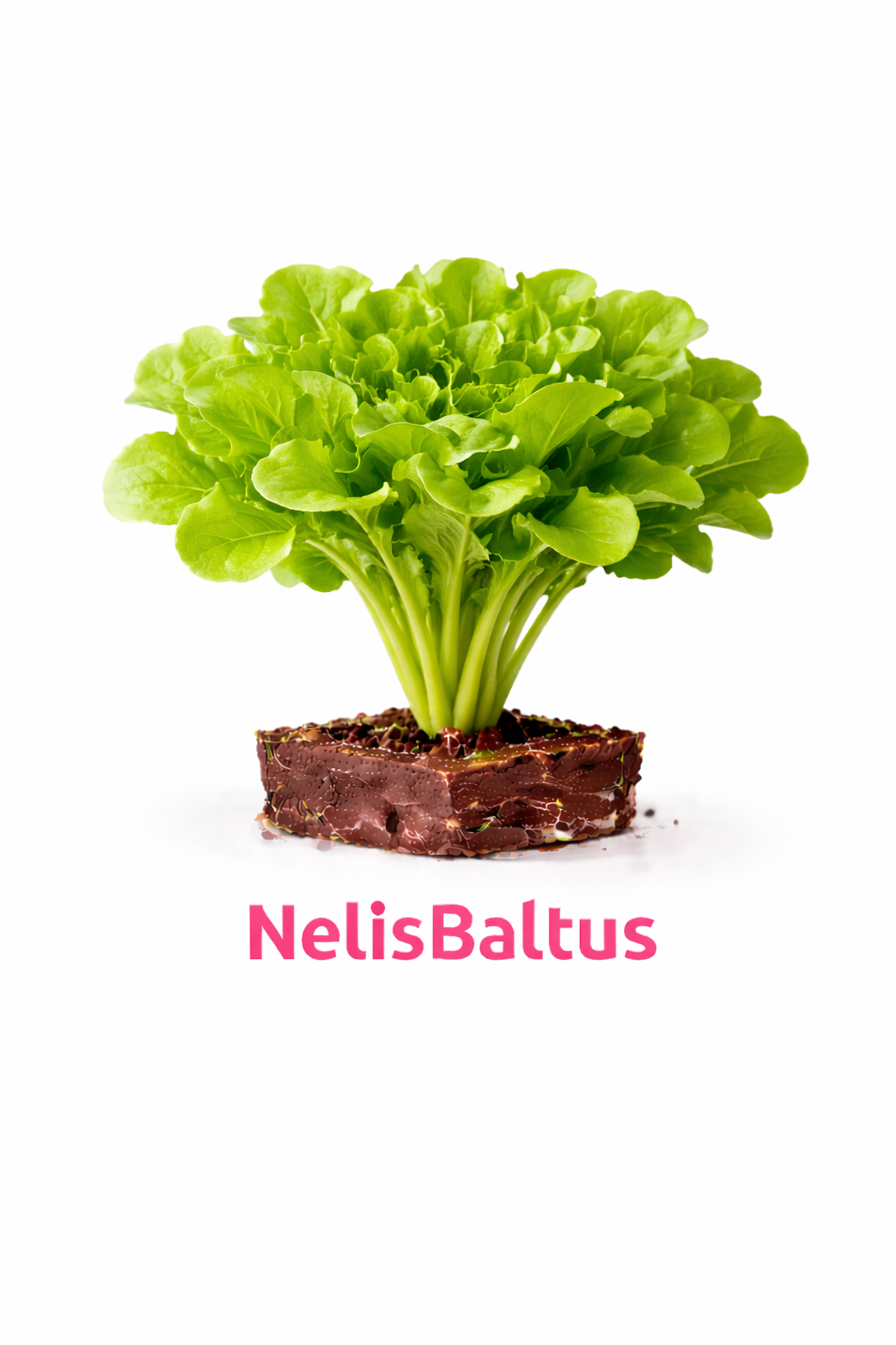 Bindsla Normaal – 4x4 cm perskluit