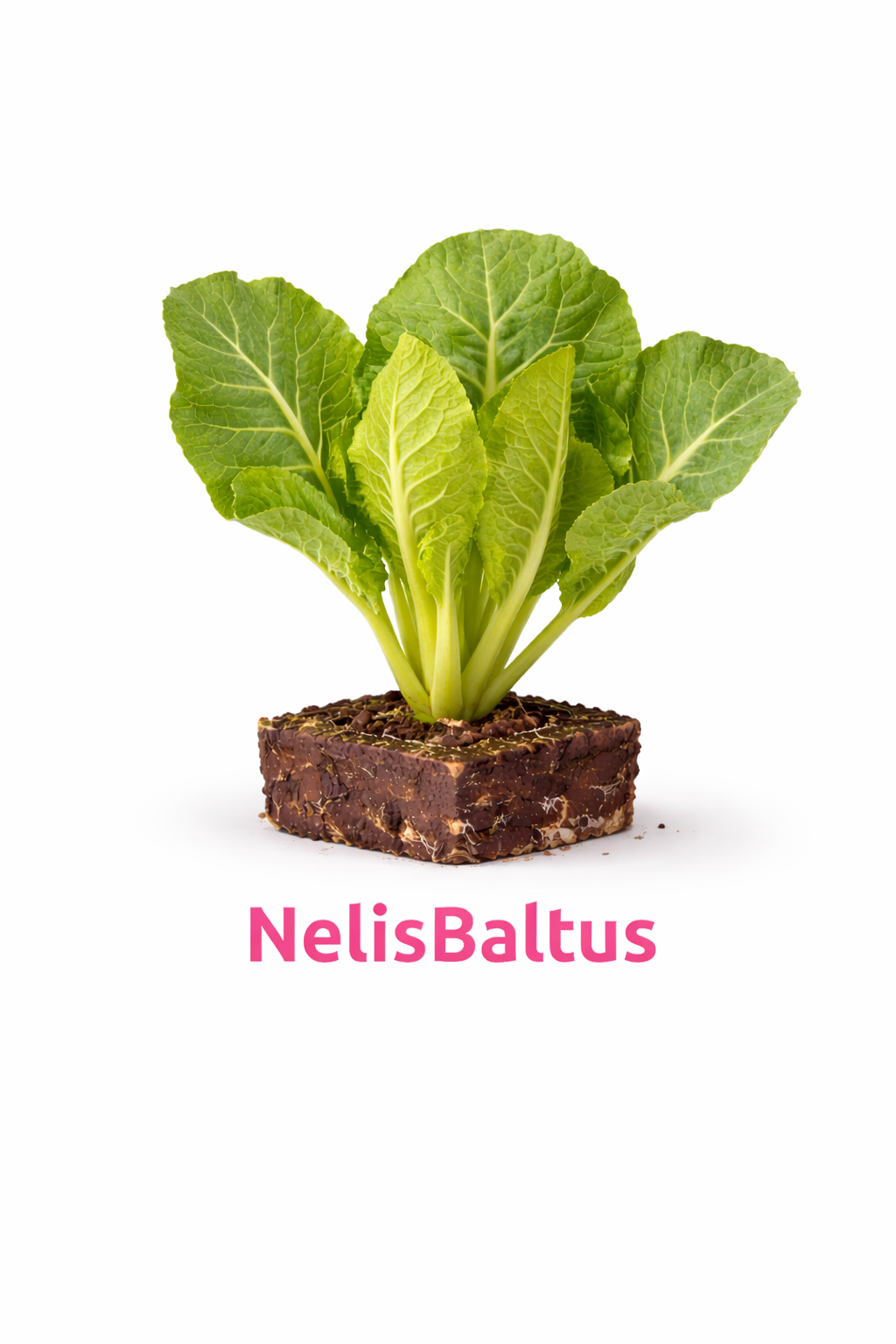 Bloemkool – 4x4 cm perskluit