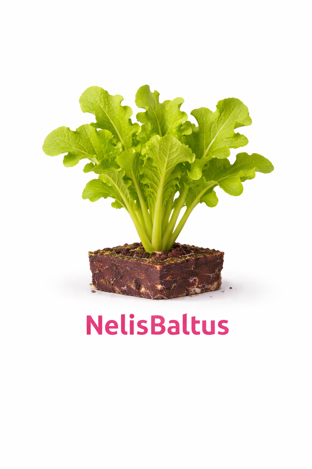 Eikenblad Groen – 4x4 cm perskluit