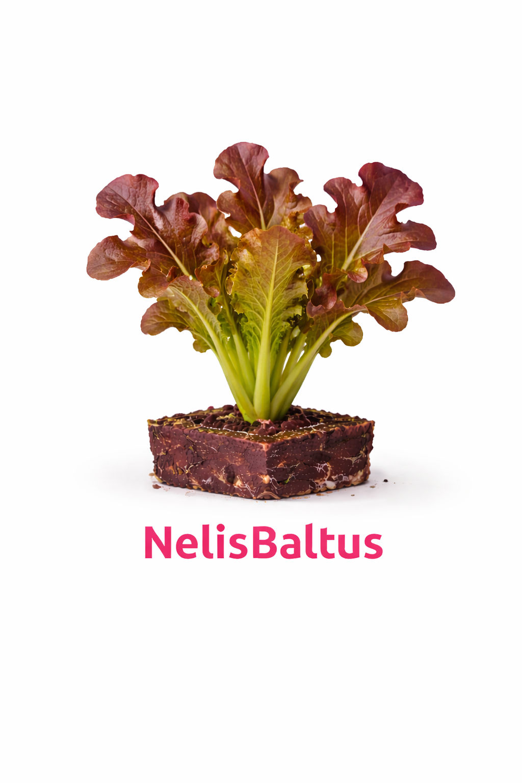 Eikenblad Rood – 4x4 cm perskluit