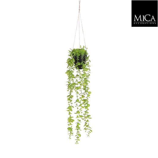 Eucalyptus hangend in pot groen - l54xd9cm