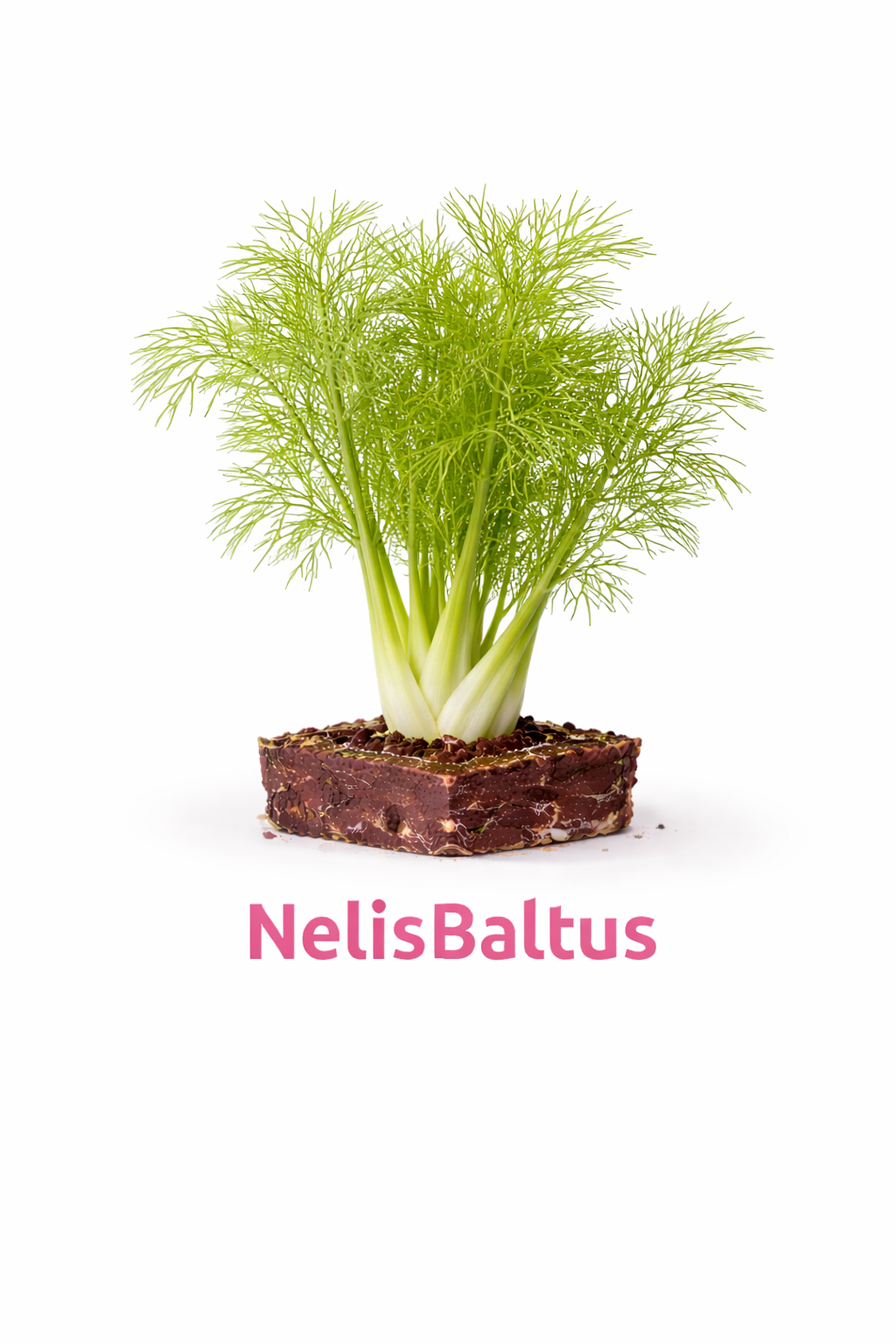 Knolvenkel – 4x4 cm perskluit