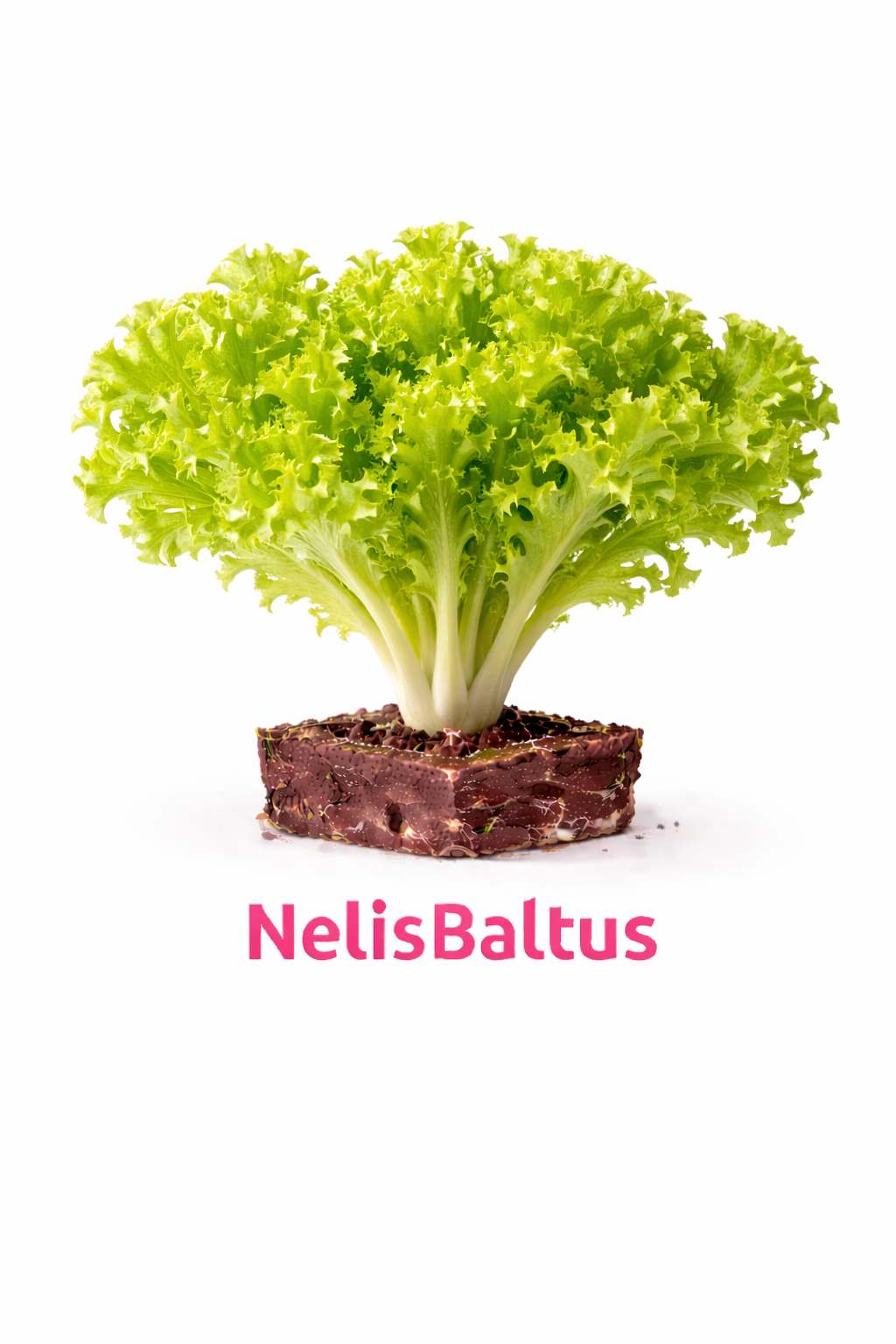 Lollo Bionda – 4x4 cm perskluit