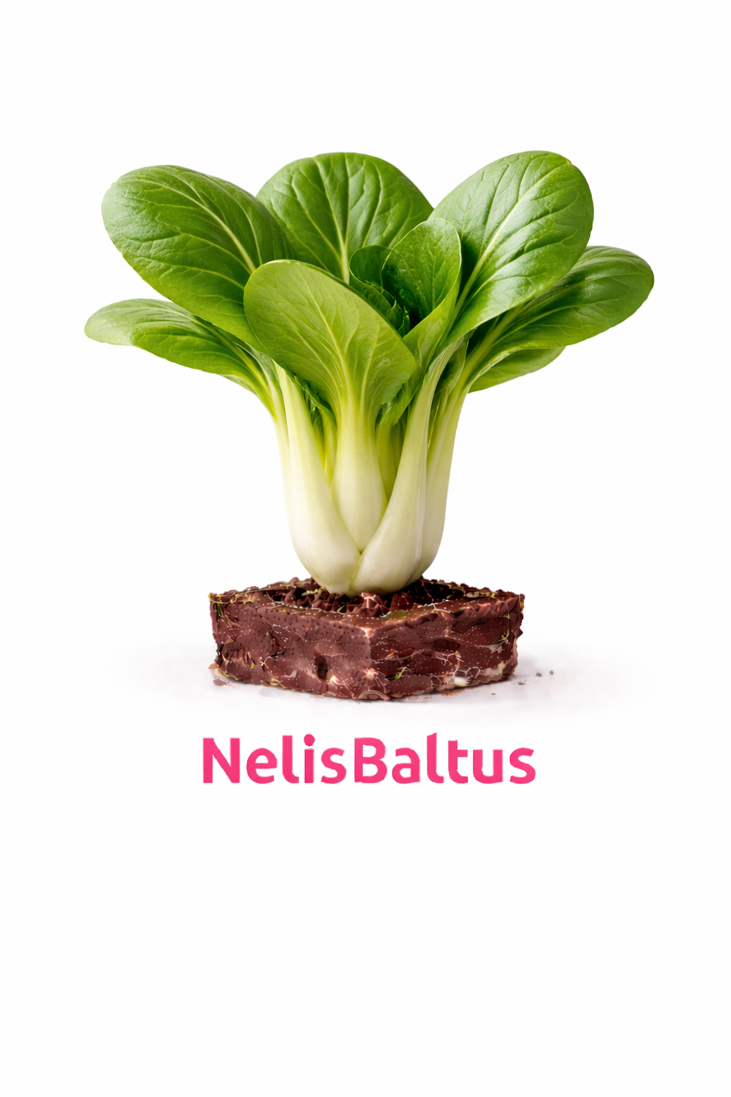 Paksoi – 4x4 cm perskluit