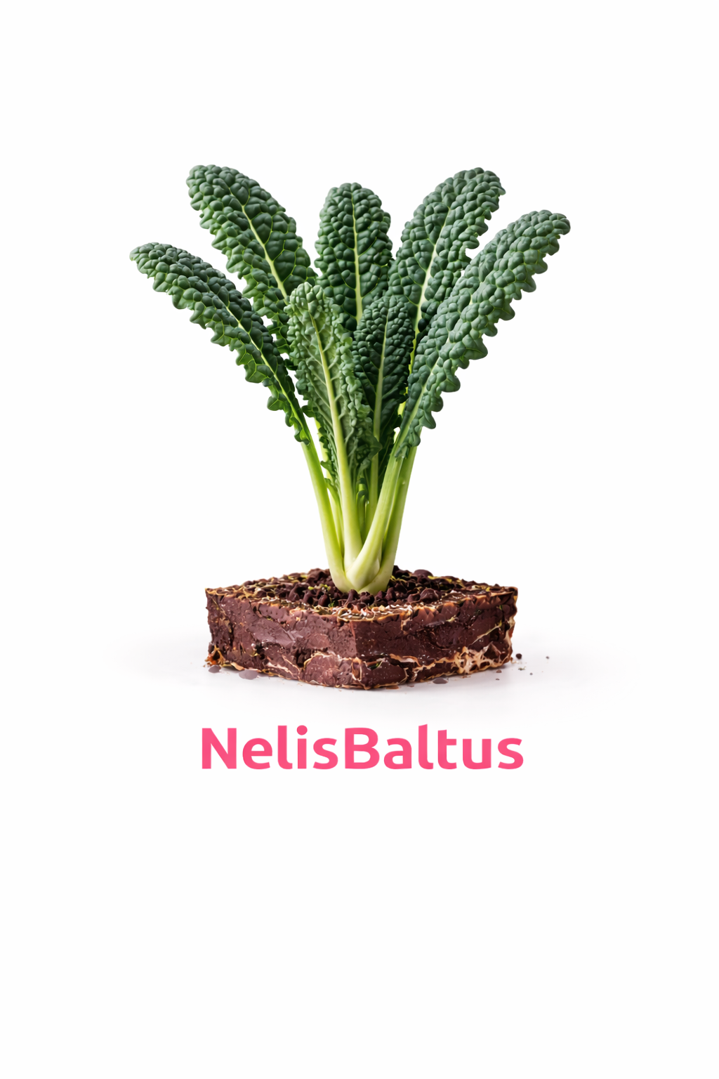 Palmkool – 4x4 cm perskluit