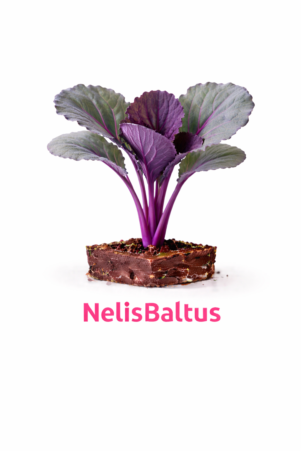 Rode Kool – 4x4 cm perskluit