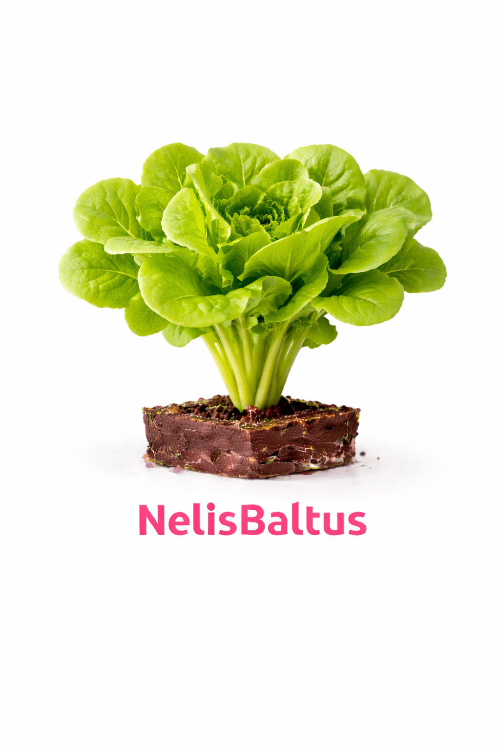 Sla Volle Grond – 4x4 cm perskluit