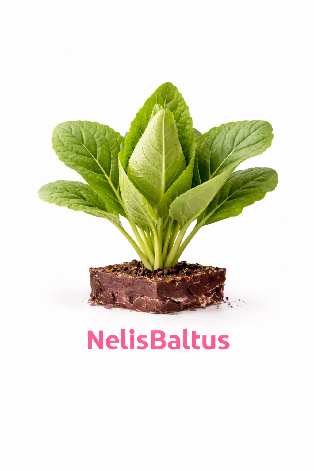 Spitskool – 4x4 cm perskluit