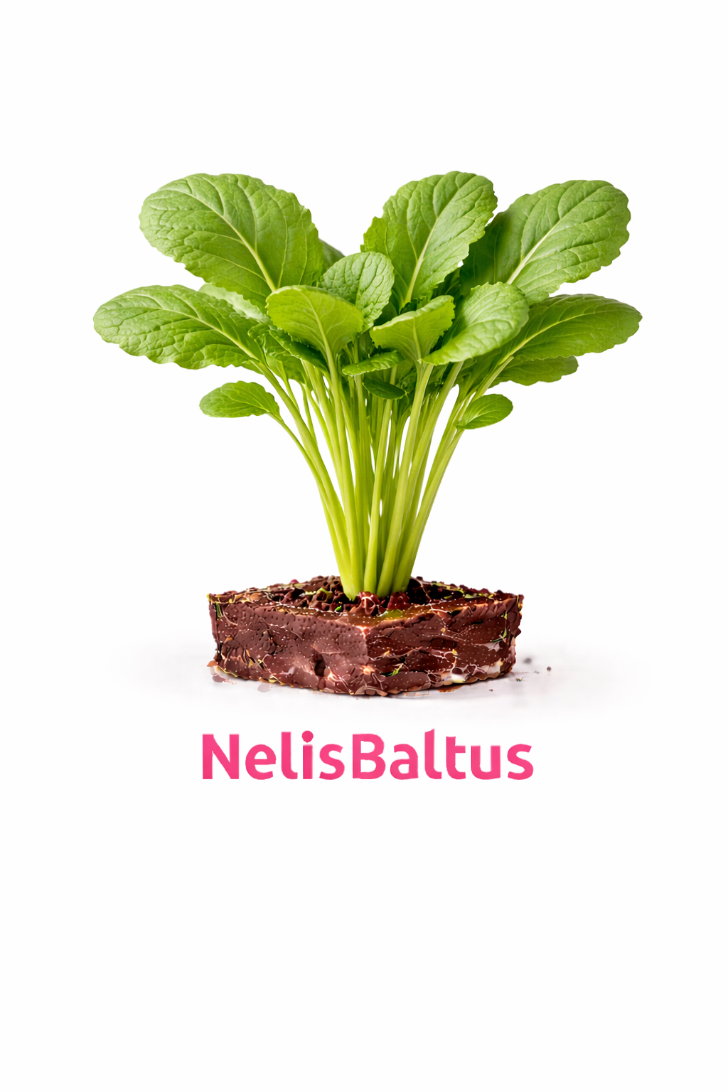 Veldsla – 4x4 cm perskluit