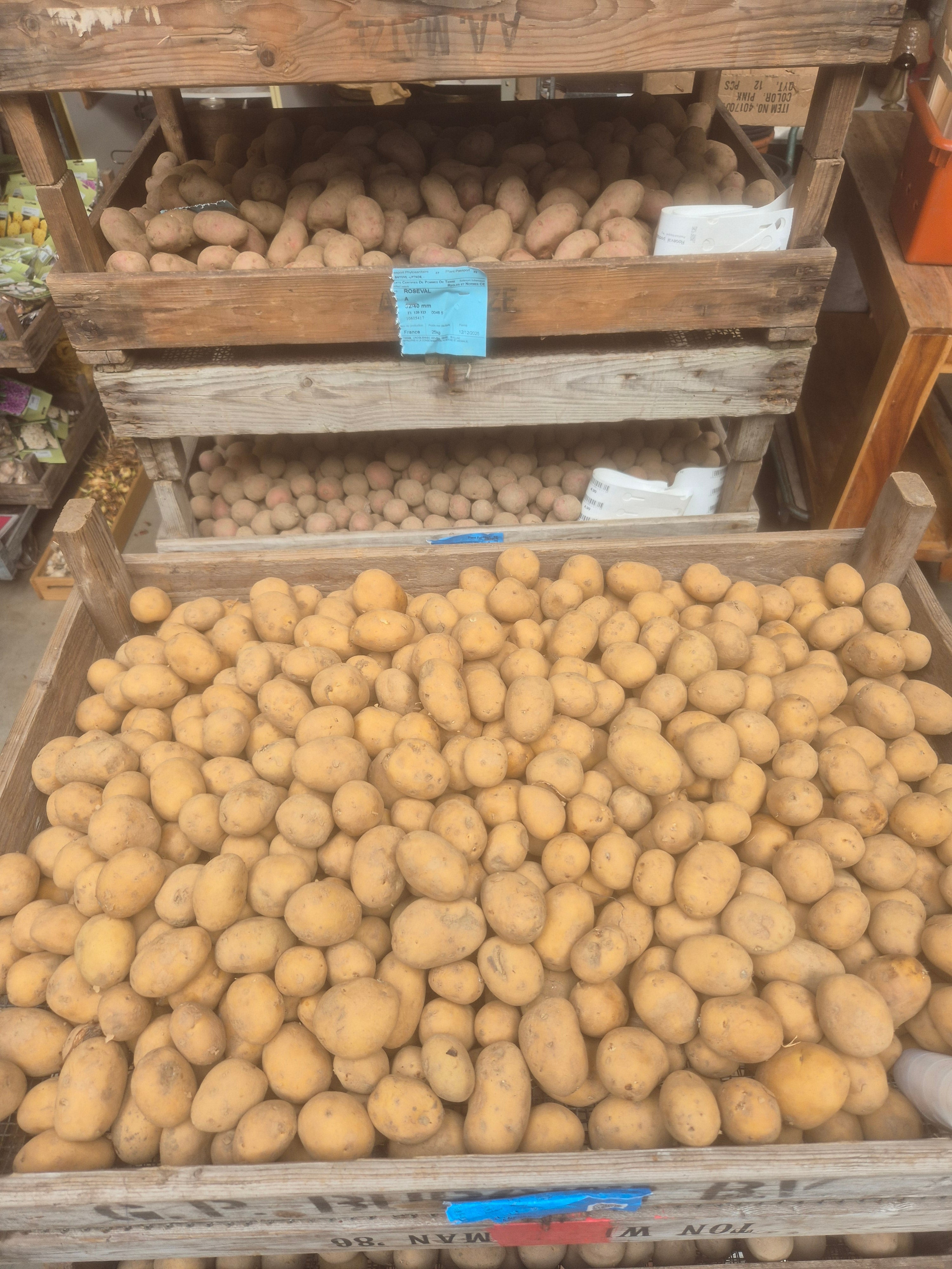 Vitabella BIO – A 25-40 pootgoed (per 1 kg)