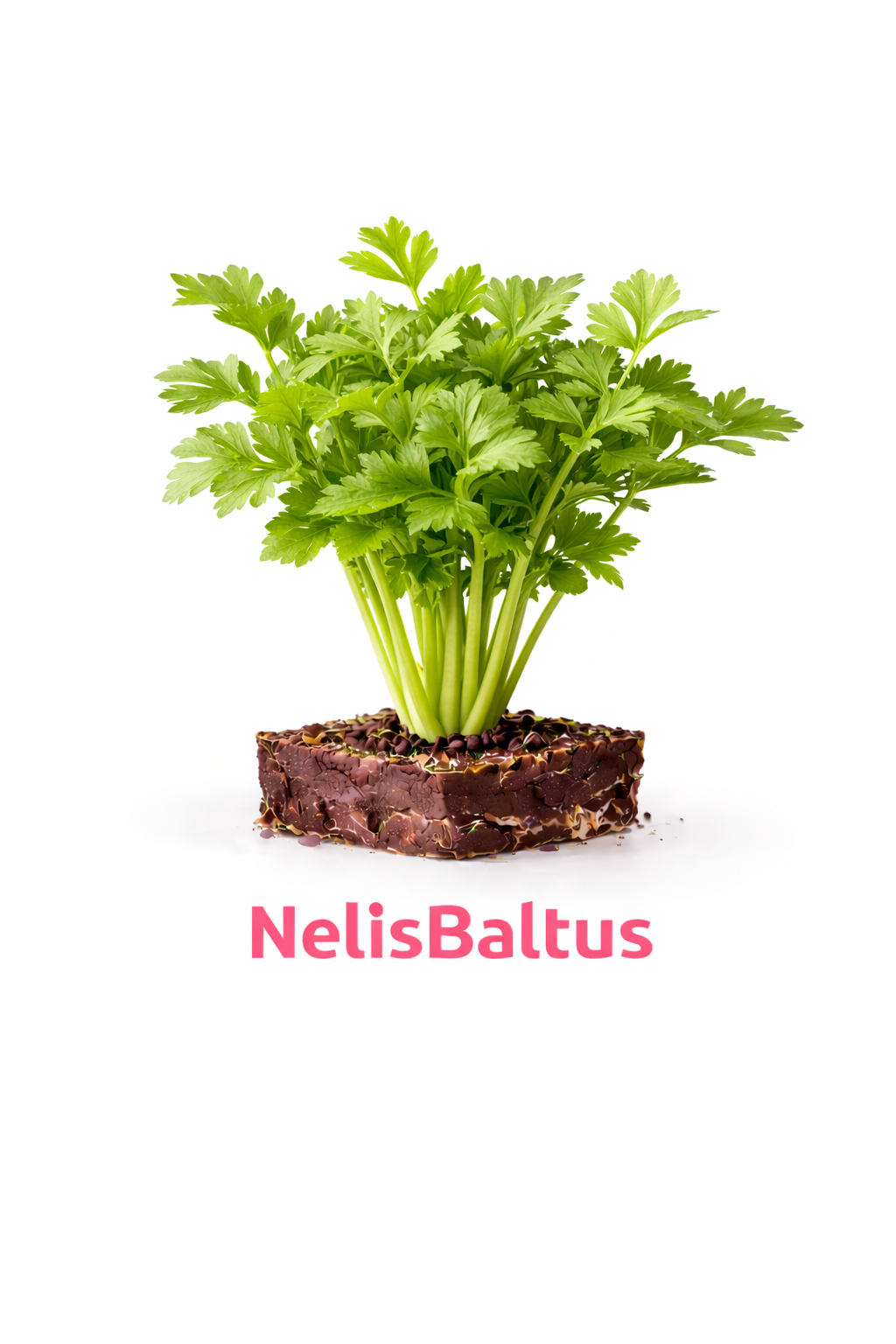 Peterselie – 4x4 cm perskluit