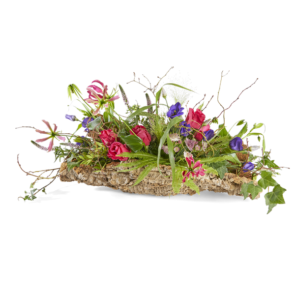 Eeuwige natuur - Gegroepeerd
