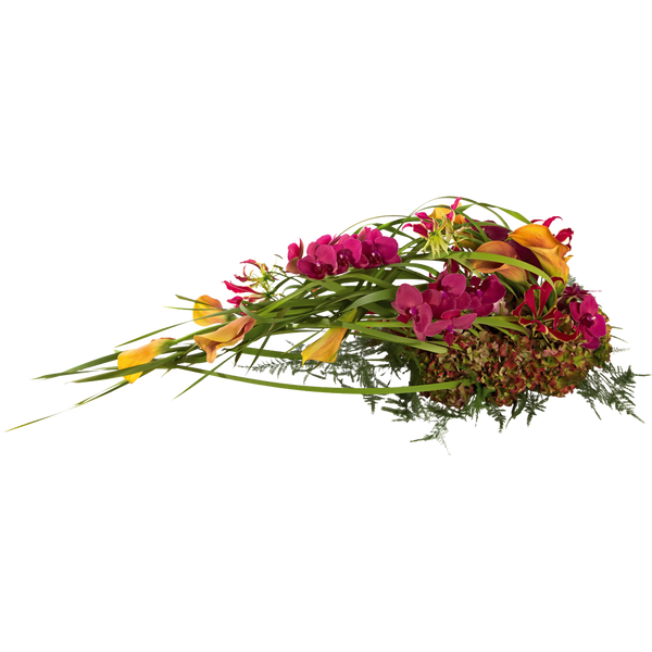 Arrangement Dynamiek