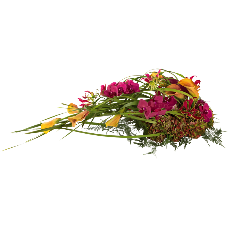 Arrangement Dynamiek